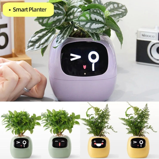 SmartJardin Expressif ✅ Jardinière intelligente Un plaisir sans fin