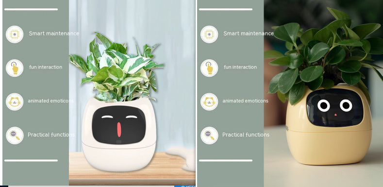SmartJardin Expressif ✅ Jardinière intelligente Un plaisir sans fin