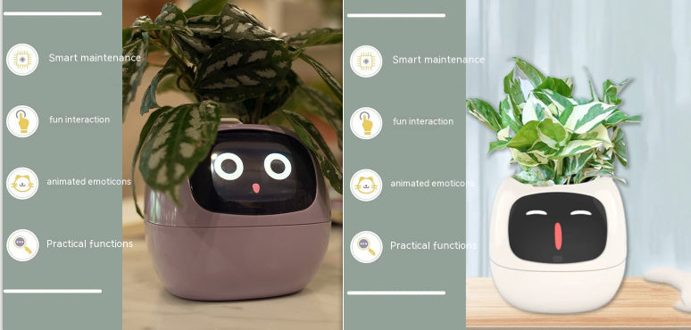 SmartJardin Expressif ✅ Jardinière intelligente Un plaisir sans fin