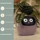 SmartJardin Expressif ✅ Jardinière intelligente Un plaisir sans fin