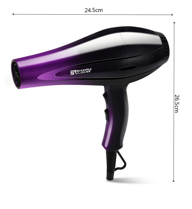 Sèche-cheveux Haute Puissance Chauffe Et Refroidissement De L'air Domestique