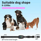 BarkControl Pro ✅ Collier Anti-aboiement automatique intelligent pour chien