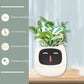SmartJardin Expressif ✅ Jardinière intelligente Un plaisir sans fin