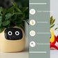 SmartJardin Expressif ✅ Jardinière intelligente Un plaisir sans fin